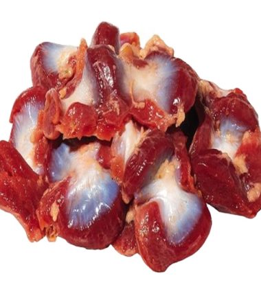 Chicken Gizzard